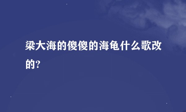 梁大海的傻傻的海龟什么歌改的?