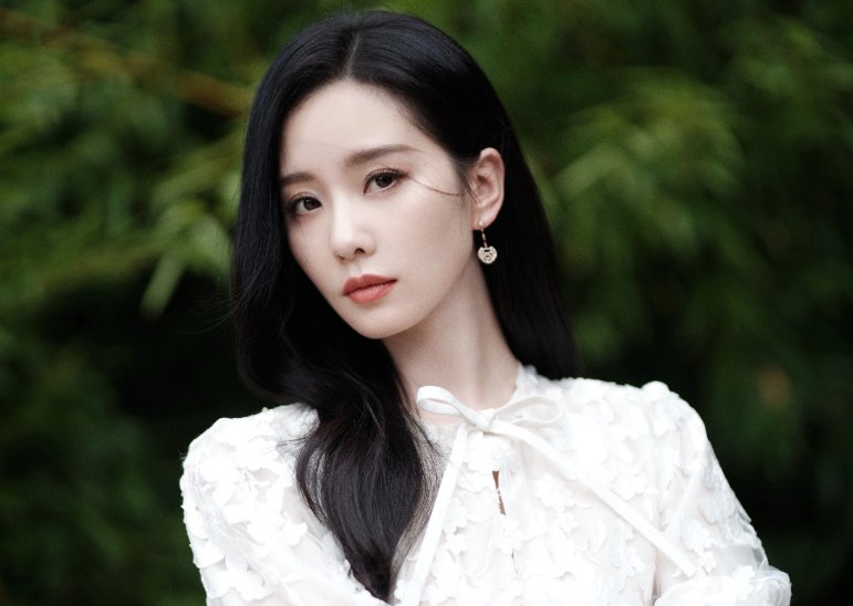 刘诗诗的个人简介如何