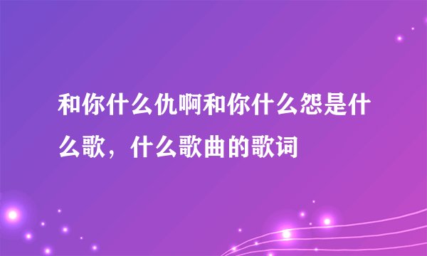 和你什么仇啊和你什么怨是什么歌，什么歌曲的歌词