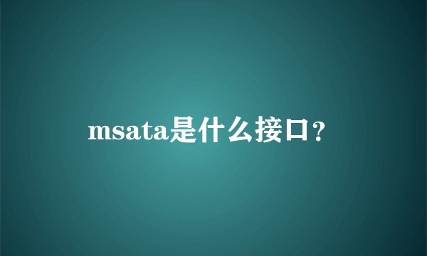 msata是什么接口？
