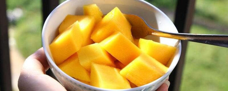 芒果几月份成熟