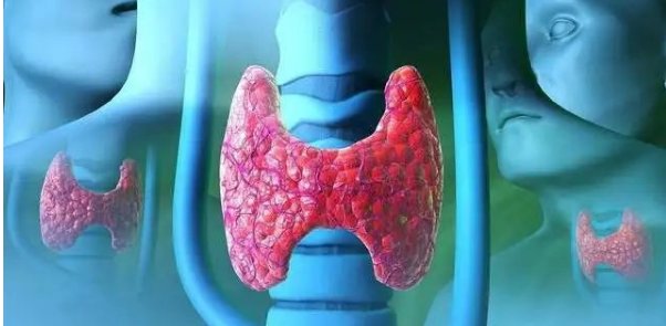 六盘水抗癌网红“小敏”已转入ICU，她的丈夫是否没有尽到该有的义务？