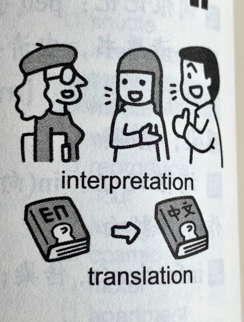 translation是什么意思