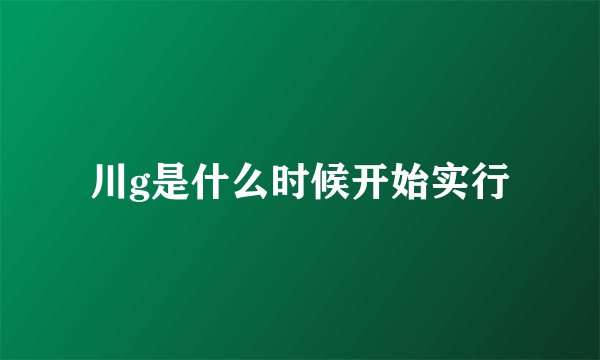 川g是什么时候开始实行