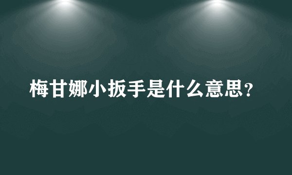 梅甘娜小扳手是什么意思？