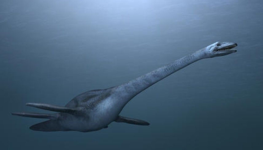 《深海巨兽》有哪些至少使用一种说明方法？