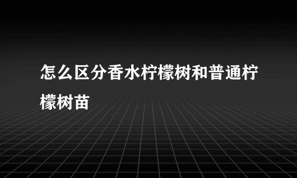 怎么区分香水柠檬树和普通柠檬树苗