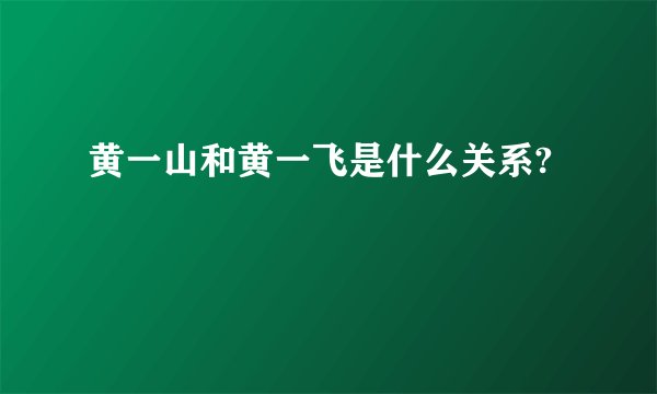 黄一山和黄一飞是什么关系?