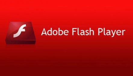 请问flash8的注册码是多少？