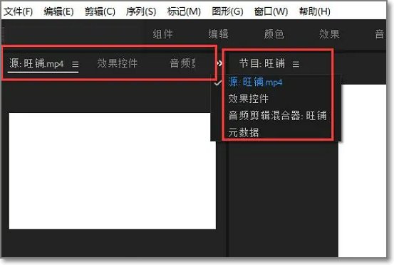 pr九尾狐正能量版2.1怎么用？