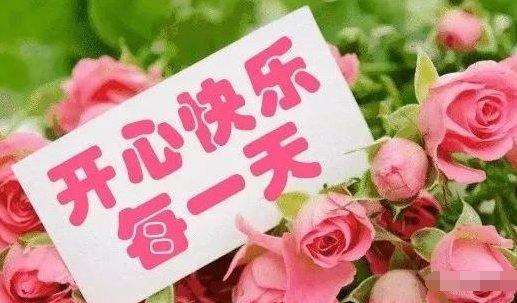 想找一个谜底是