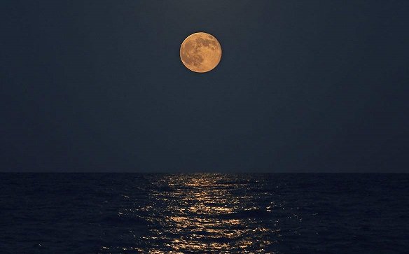 “转朱阁，低绮户，照无眠.不应有恨，何事长向别时圆.”是什么意思