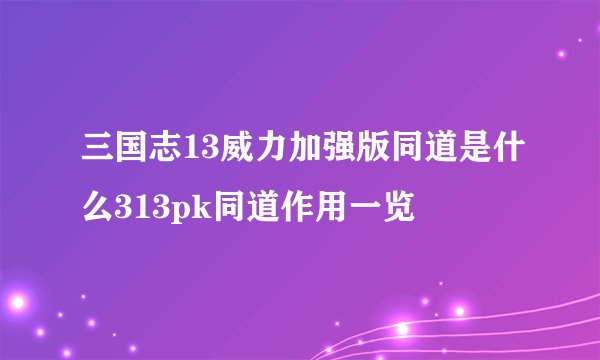 三国志13威力加强版同道是什么313pk同道作用一览