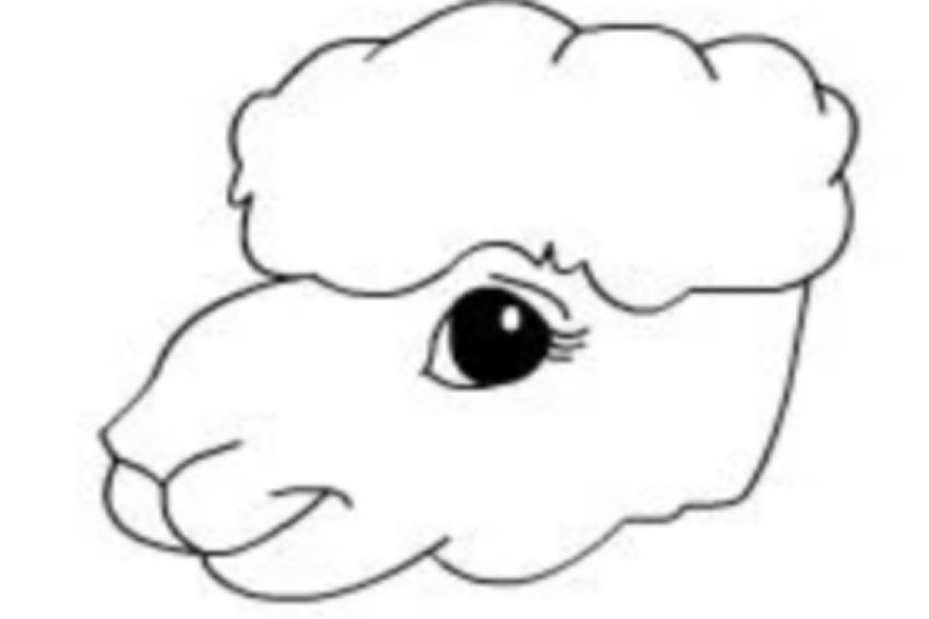 小羊怎么画简单又漂亮又可爱