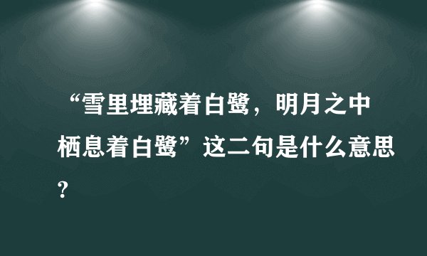 “雪里埋藏着白鹭，明月之中栖息着白鹭”这二句是什么意思?