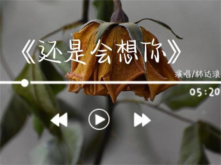 还是会想你歌词