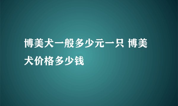 博美犬一般多少元一只 博美犬价格多少钱