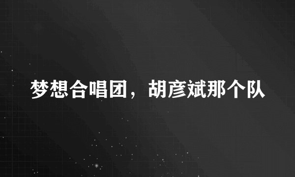 梦想合唱团，胡彦斌那个队