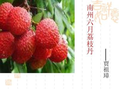 南州六月荔枝丹的原文及翻译