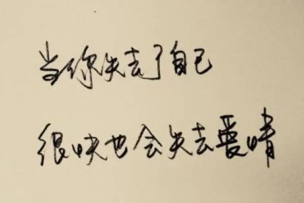 iost是什么意思翻译