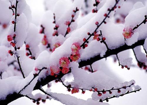 我的热情被耗尽了 我已经不敢动心了 怎么办？