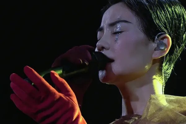 李亚鹏比王菲大几岁