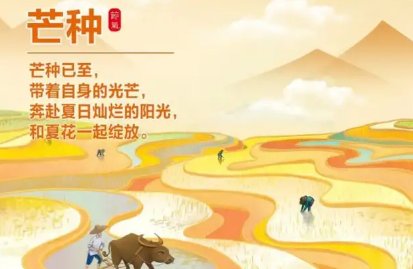 二十四节气中，芒种又叫忙种对吗？