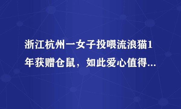 浙江杭州一女子投喂流浪猫1年获赠仓鼠，如此爱心值得推荐吗？