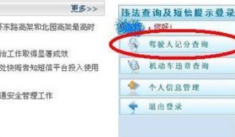 驾驶证查分怎么查