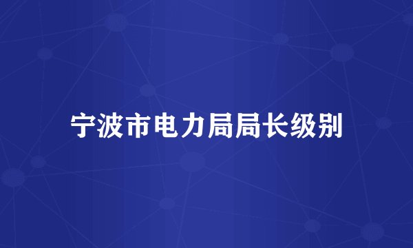 宁波市电力局局长级别