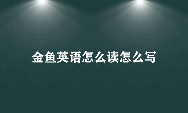 金鱼英语怎么读怎么写