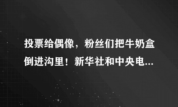 投票给偶像，粉丝们把牛奶盒倒进沟里！新华社和中央电视台发表文件批评！