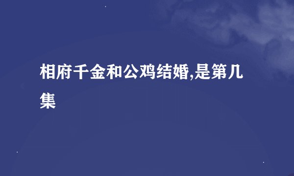 相府千金和公鸡结婚,是第几集