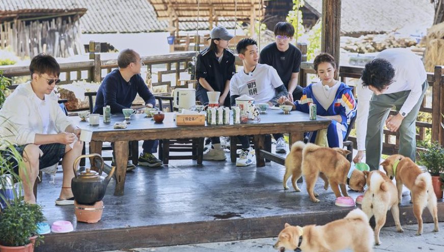 开关游戏是什么意思?