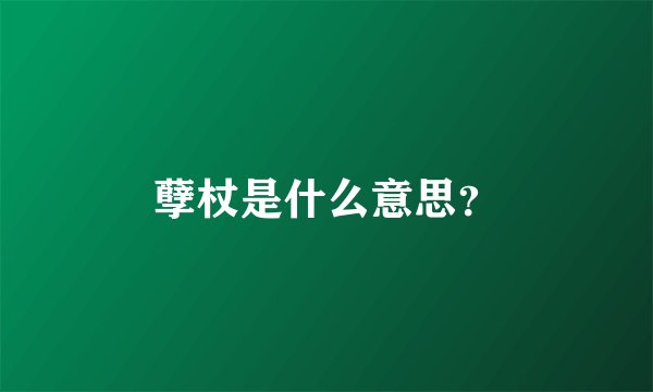 孽杖是什么意思？