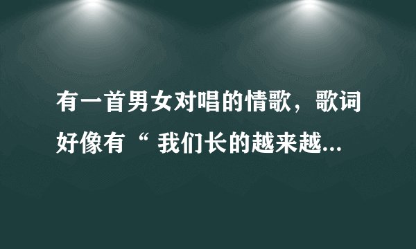 有一首男女对唱的情歌，歌词好像有“ 我们长的越来越像，天生一对夫妻像”请问这是什么歌