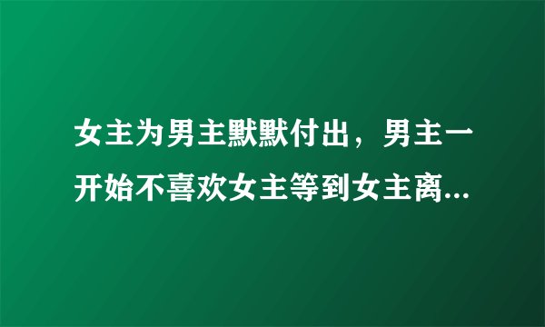 女主为男主默默付出，男主一开始不喜欢女主等到女主离开的时候才知道自己爱女主的言情小说
