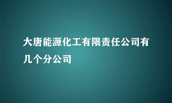 大唐能源化工有限责任公司有几个分公司