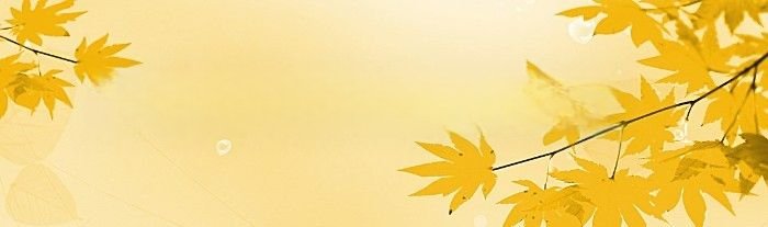 pay.163.com(pay 163 com)