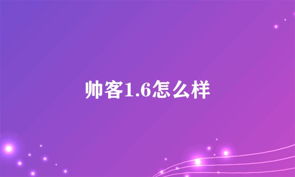 帅客1.6怎么样