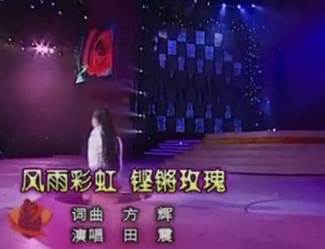 风雨彩虹铿锵玫瑰的歌词谁知道啊？