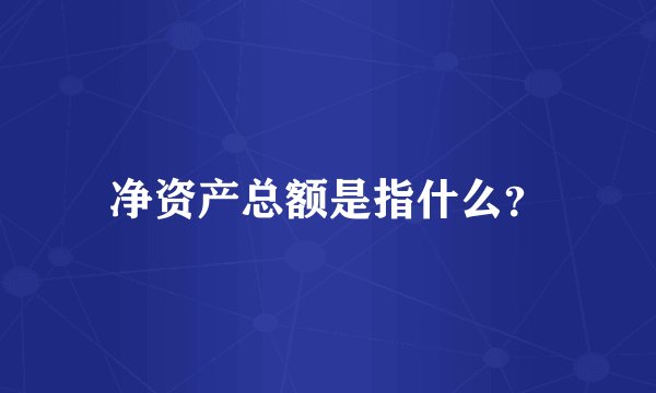 净资产总额是指什么？