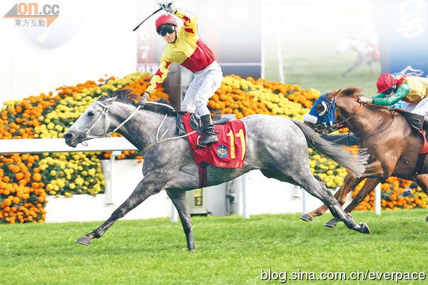 万里马王乐队的介绍