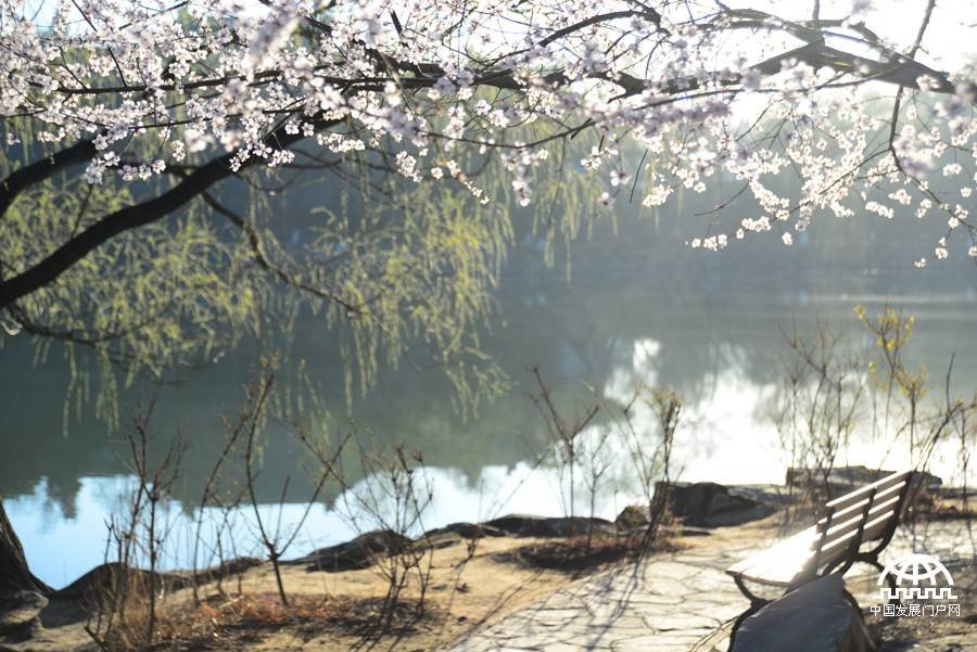 北京燕园的历史