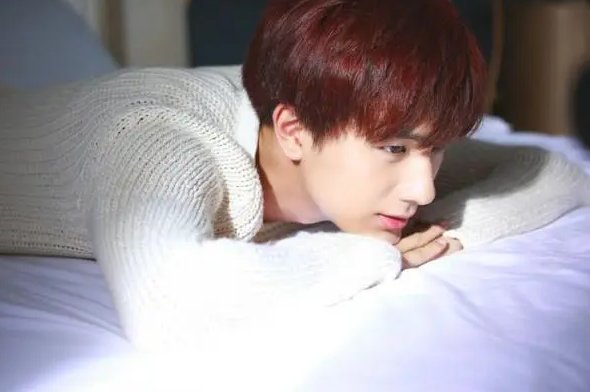 李宏毅和李明霖的关系