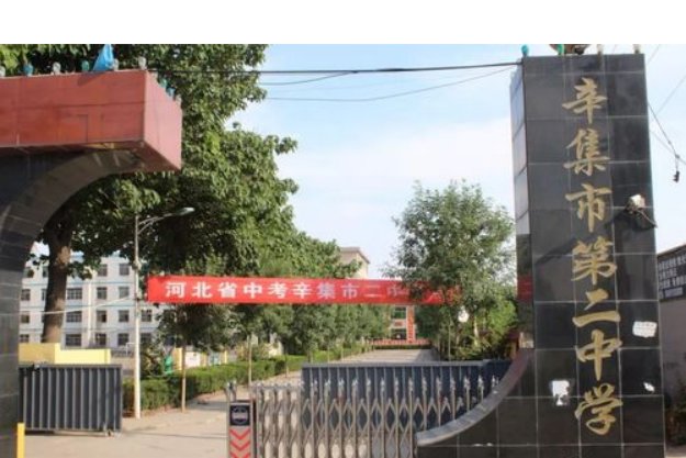 辛集中学有哪些?