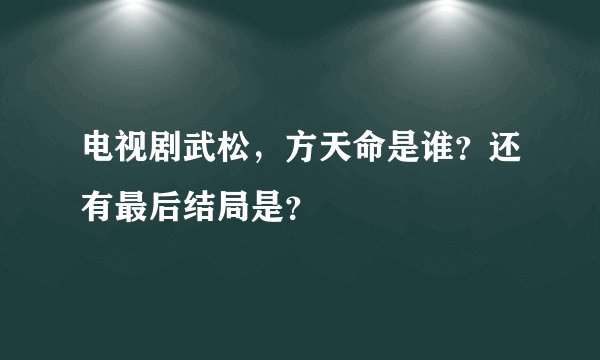 电视剧武松，方天命是谁？还有最后结局是？