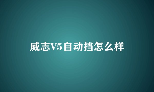 威志V5自动挡怎么样