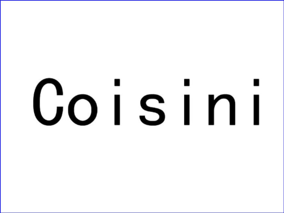 coisini什么意思