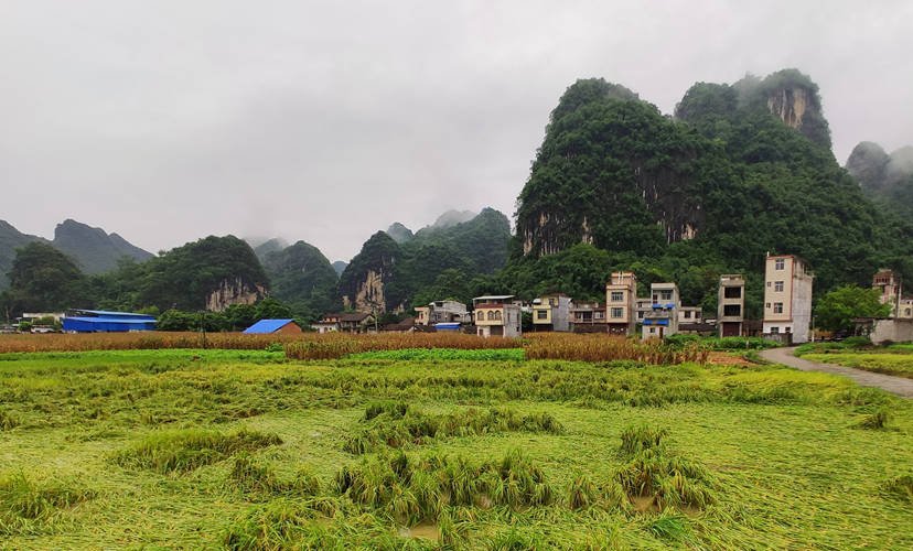 广西平果属于哪个城市
